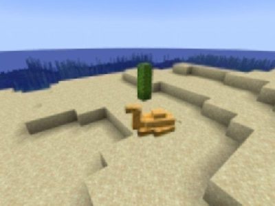 What Do Camels Eat In Minecraft
